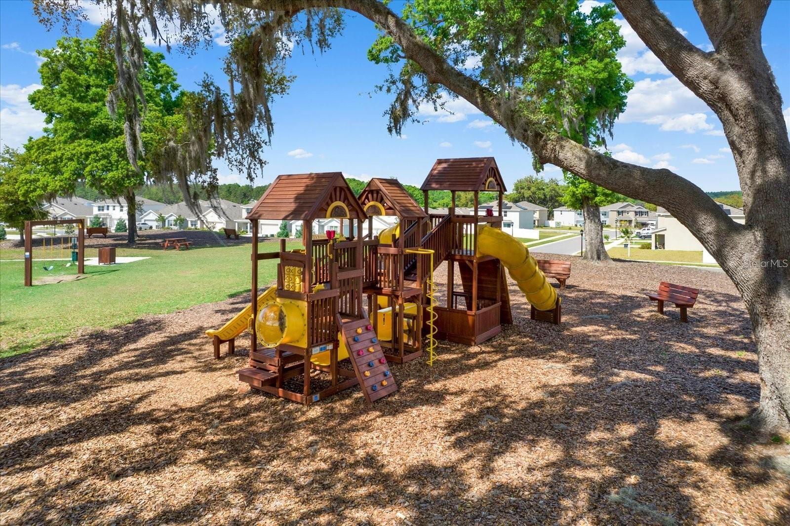 Listing photo id 52 for 13686 Whiskey Daisy Drive