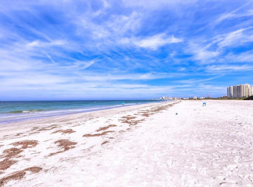 Image 32 of 41 For 1380 Gulf Boulevard 806
