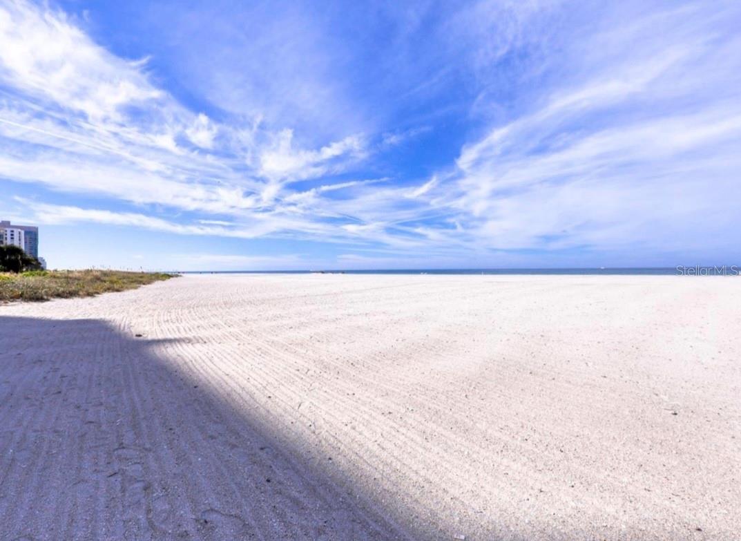 Image 33 of 41 For 1380 Gulf Boulevard 806
