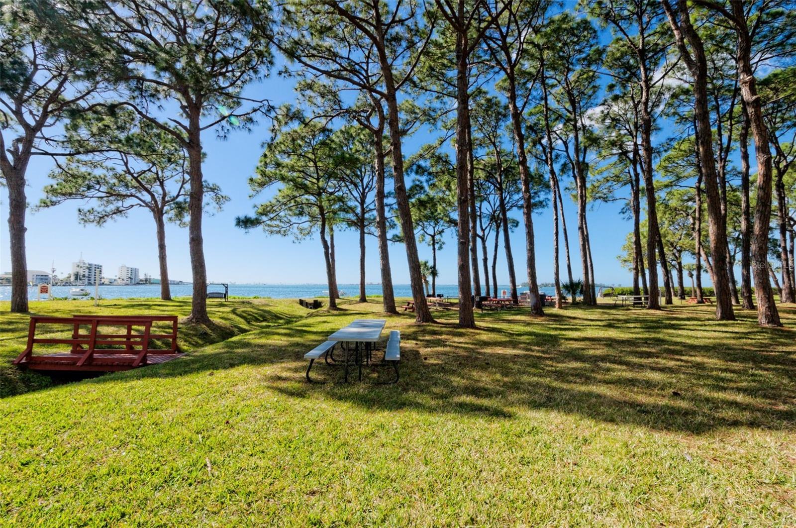 Image 36 of 43 For 2700 Bayshore Boulevard 5210