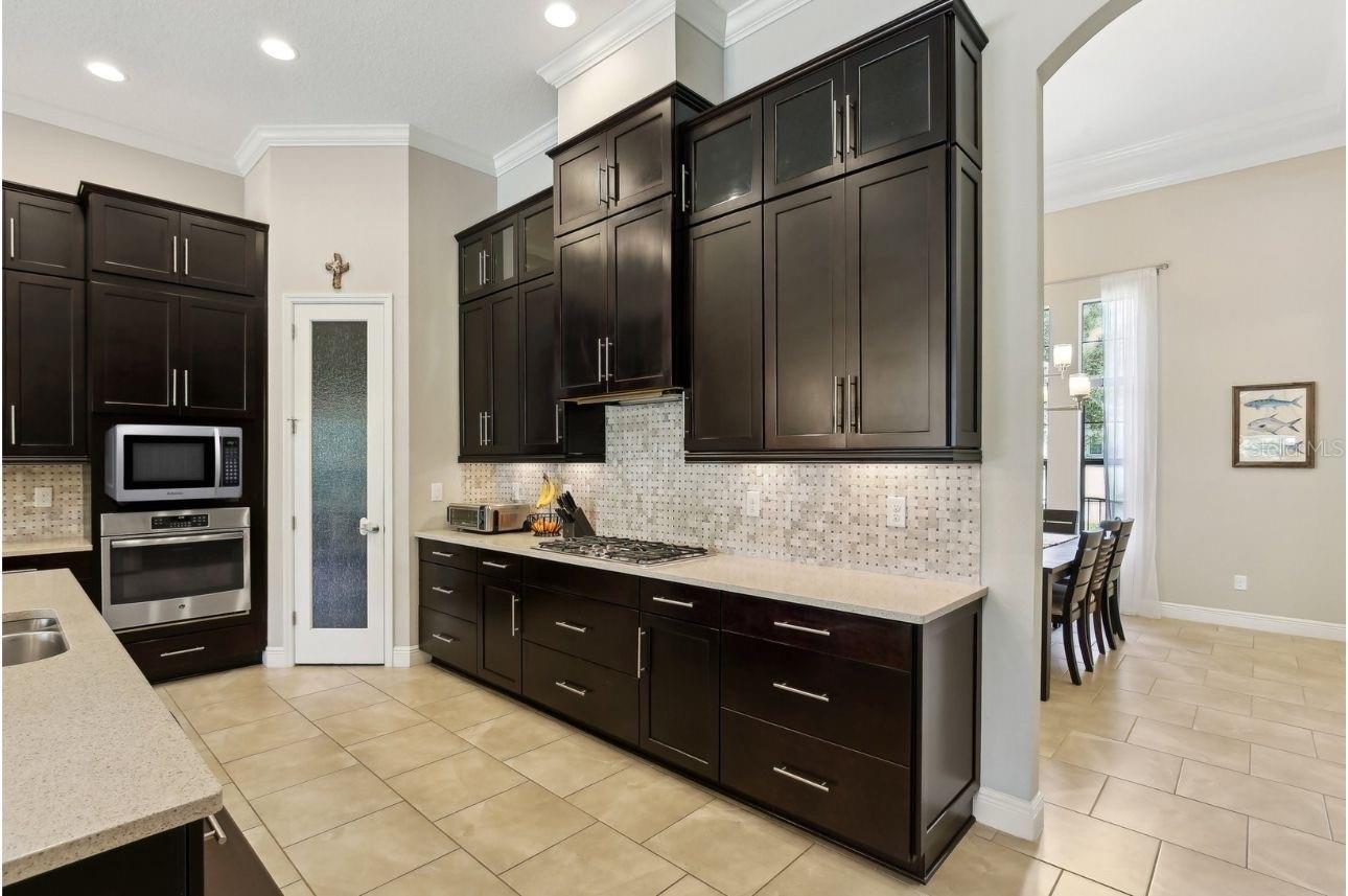 Listing photo id 12 for 14715 Fishhawk Preserve Drive