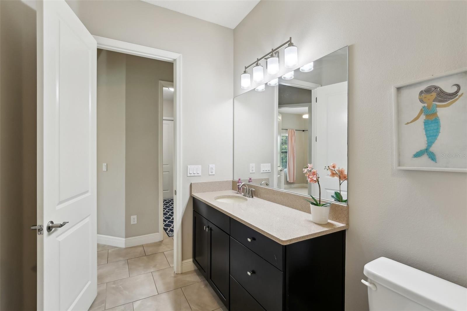 Listing photo id 18 for 14715 Fishhawk Preserve Drive