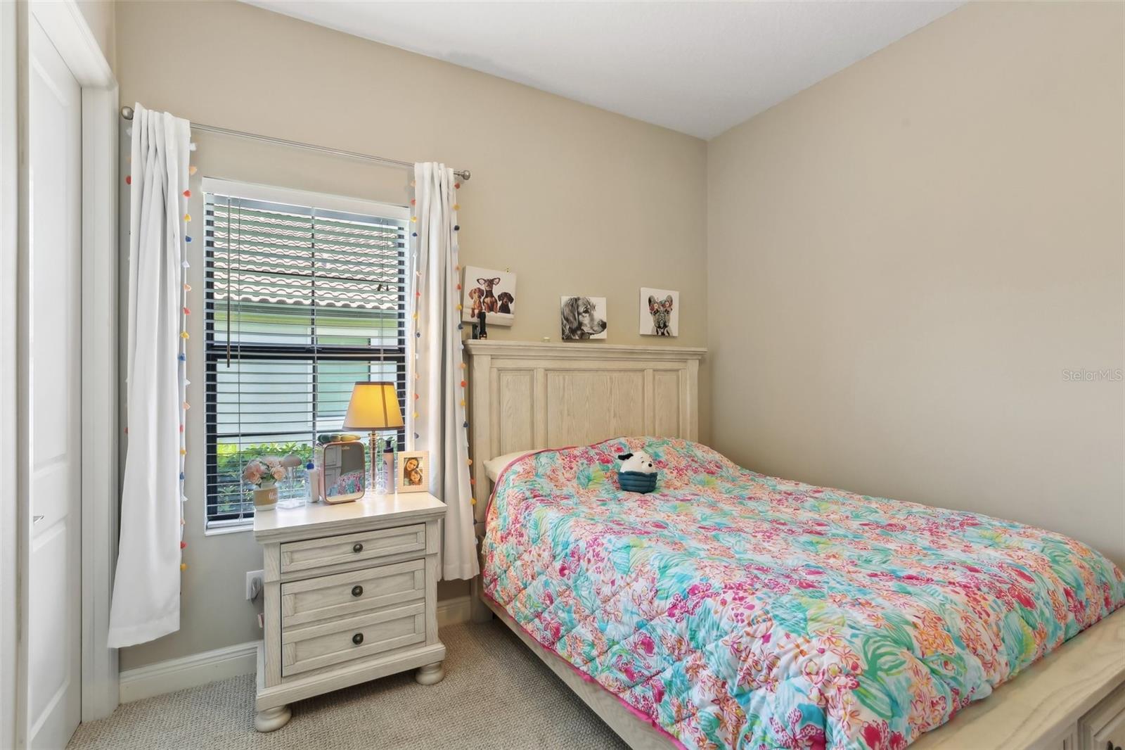 Listing photo id 20 for 14715 Fishhawk Preserve Drive