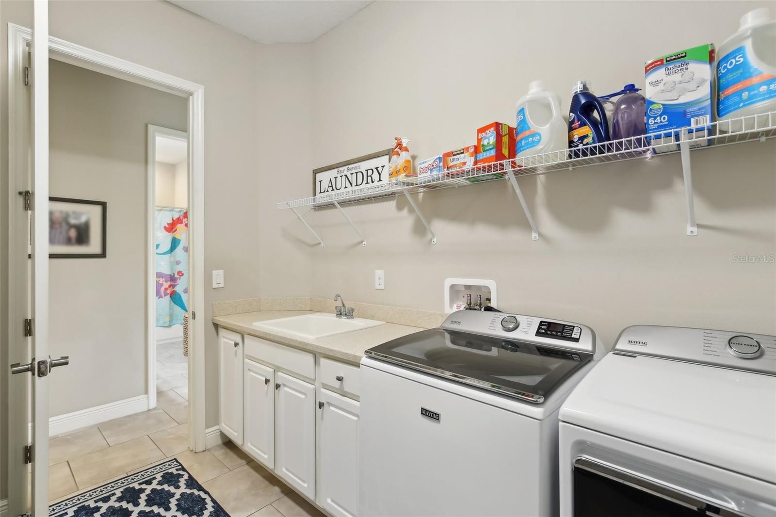 Listing photo id 27 for 14715 Fishhawk Preserve Drive