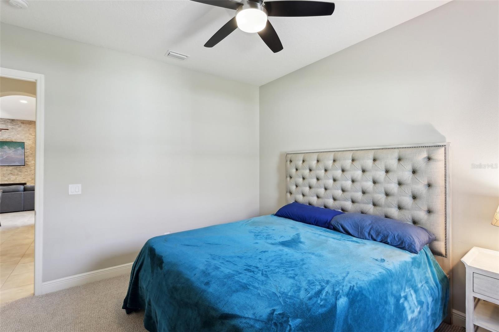 Listing photo id 43 for 14715 Fishhawk Preserve Drive