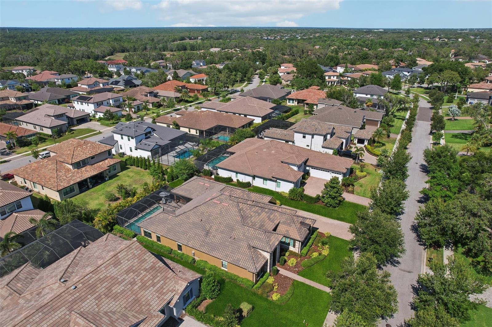 Listing photo id 61 for 14715 Fishhawk Preserve Drive