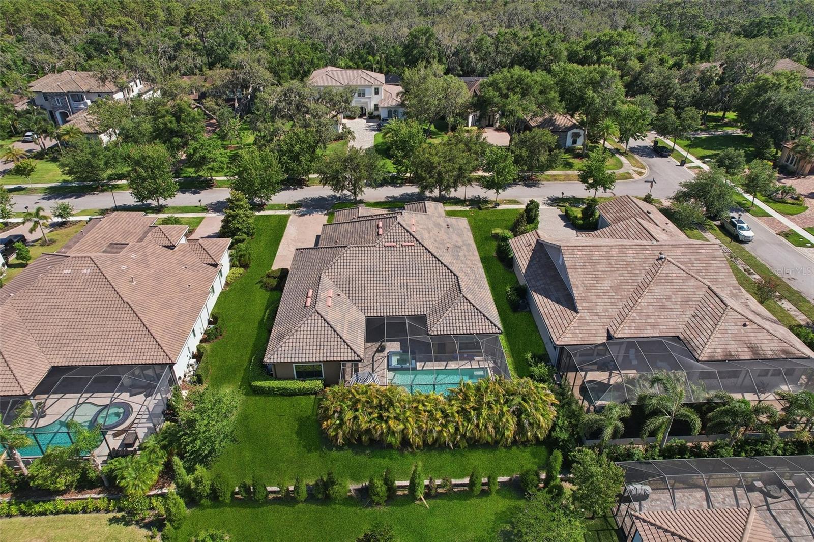 Listing photo id 62 for 14715 Fishhawk Preserve Drive