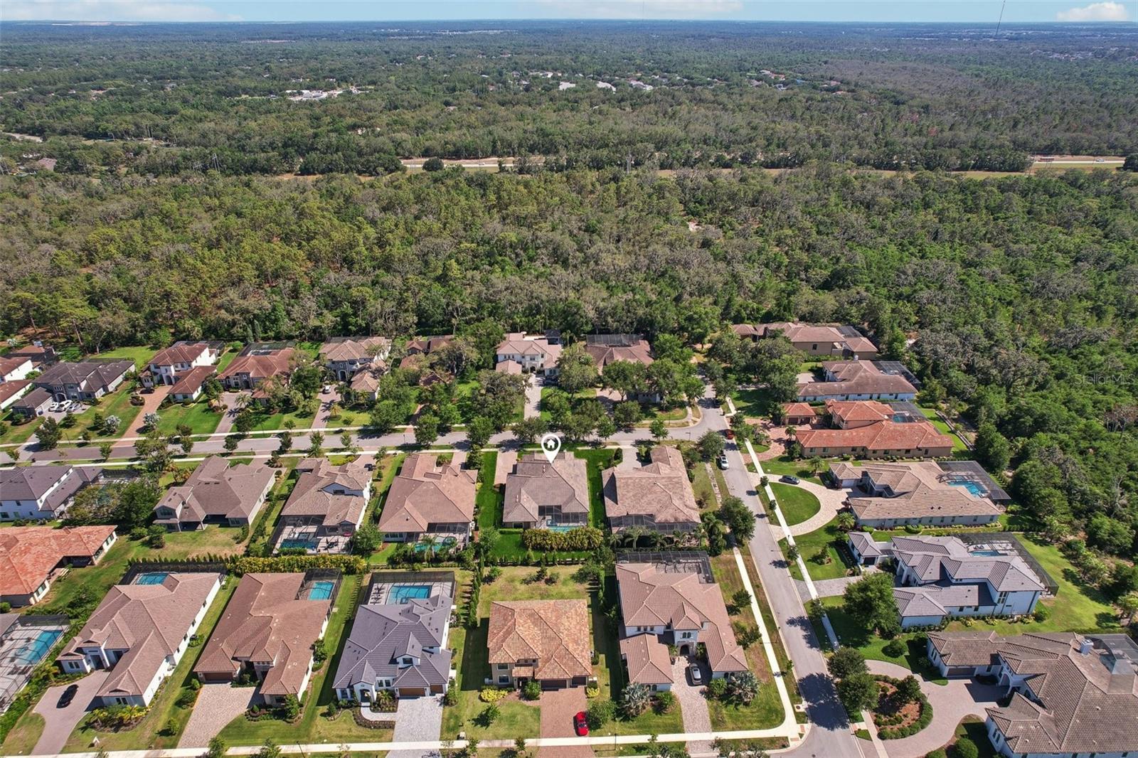 Listing photo id 64 for 14715 Fishhawk Preserve Drive