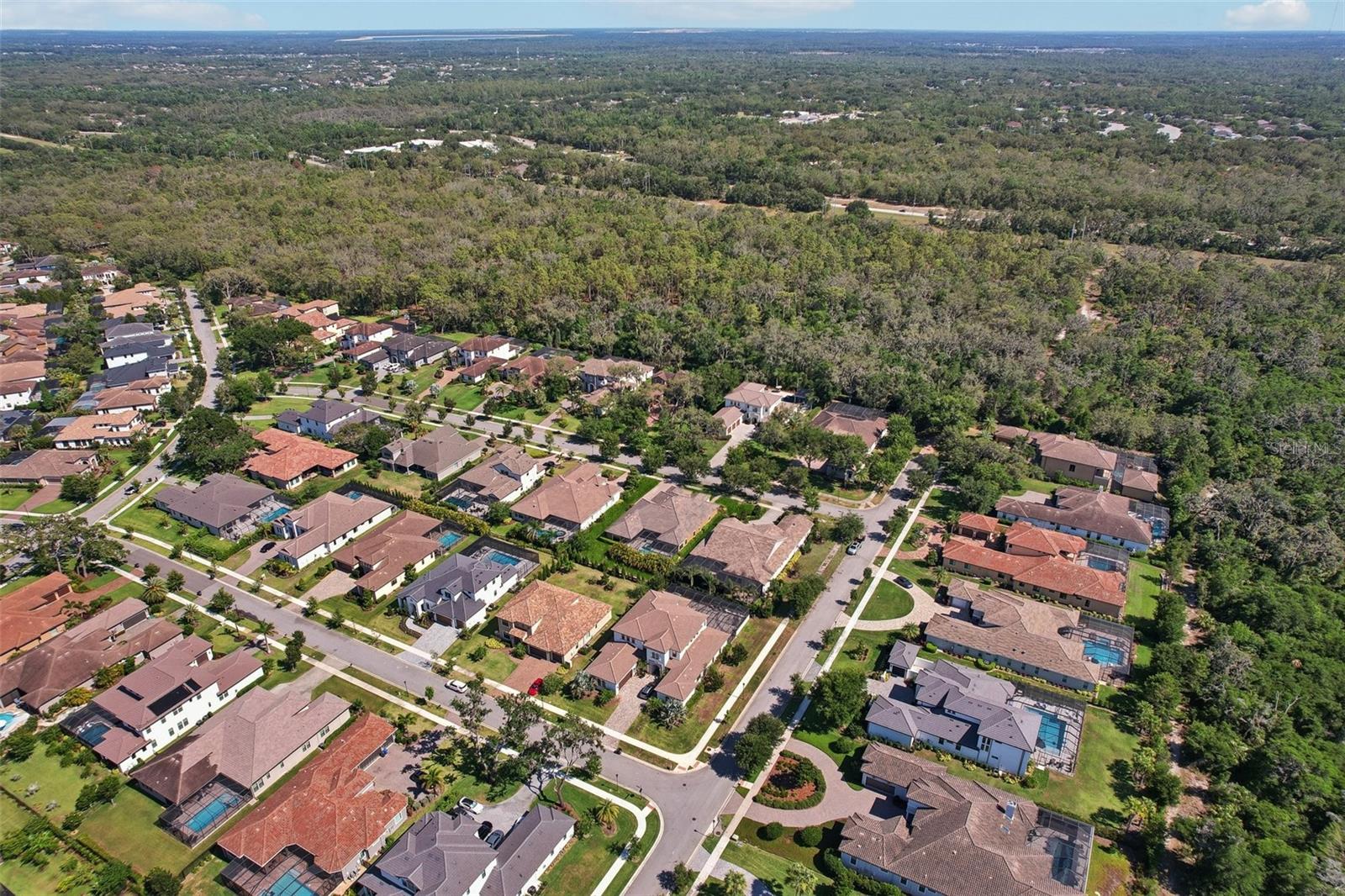 Listing photo id 65 for 14715 Fishhawk Preserve Drive