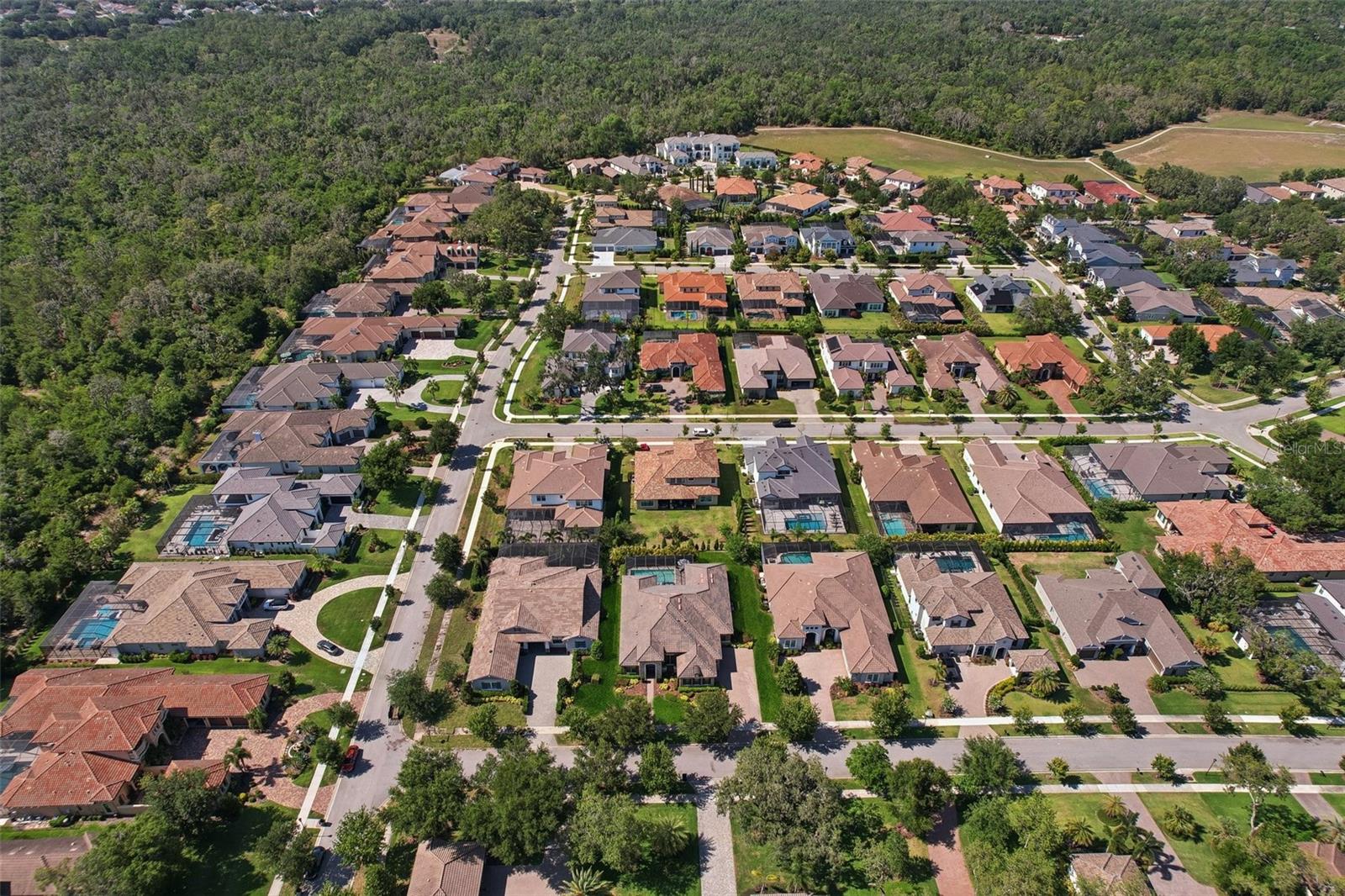 Listing photo id 66 for 14715 Fishhawk Preserve Drive