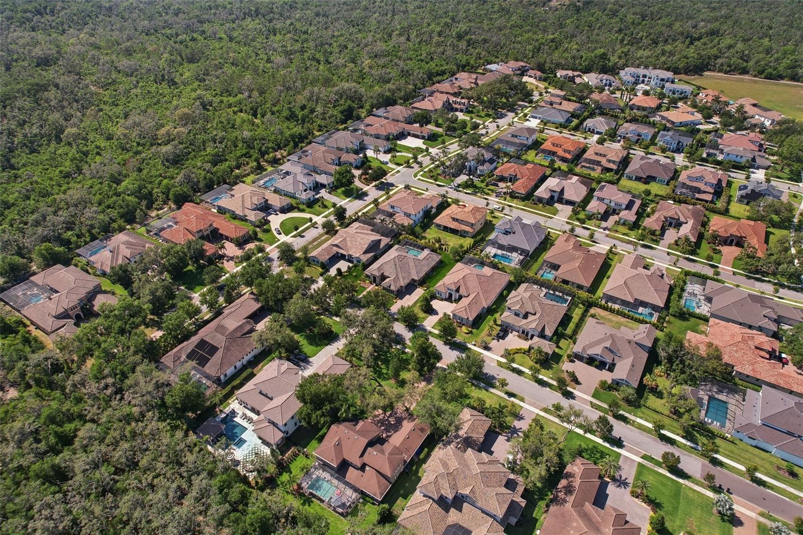 Listing photo id 67 for 14715 Fishhawk Preserve Drive