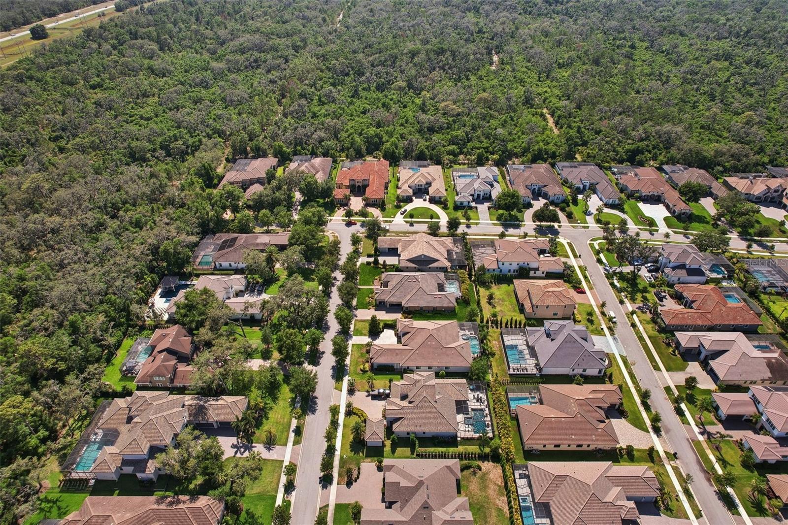 Listing photo id 68 for 14715 Fishhawk Preserve Drive