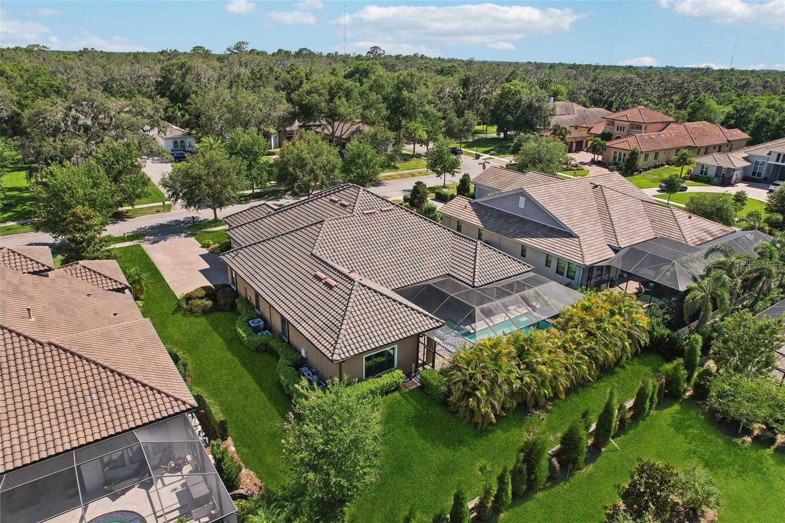 Listing photo id 71 for 14715 Fishhawk Preserve Drive