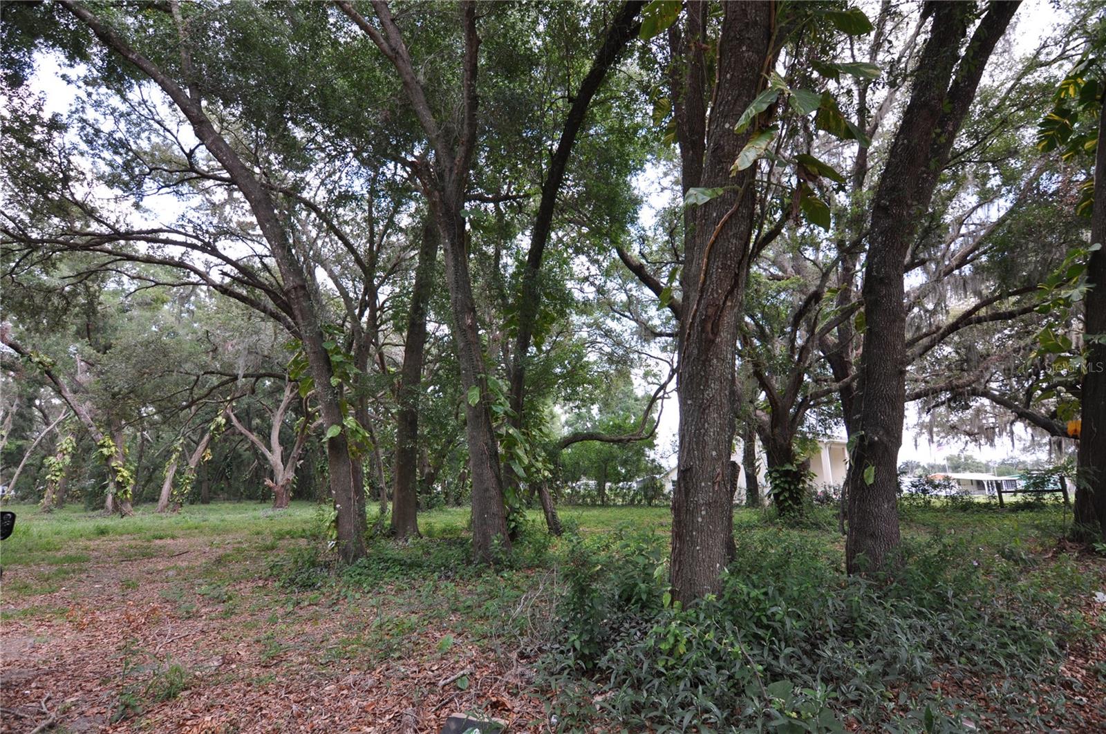 Image 6 of 6 For 6734 20th Street