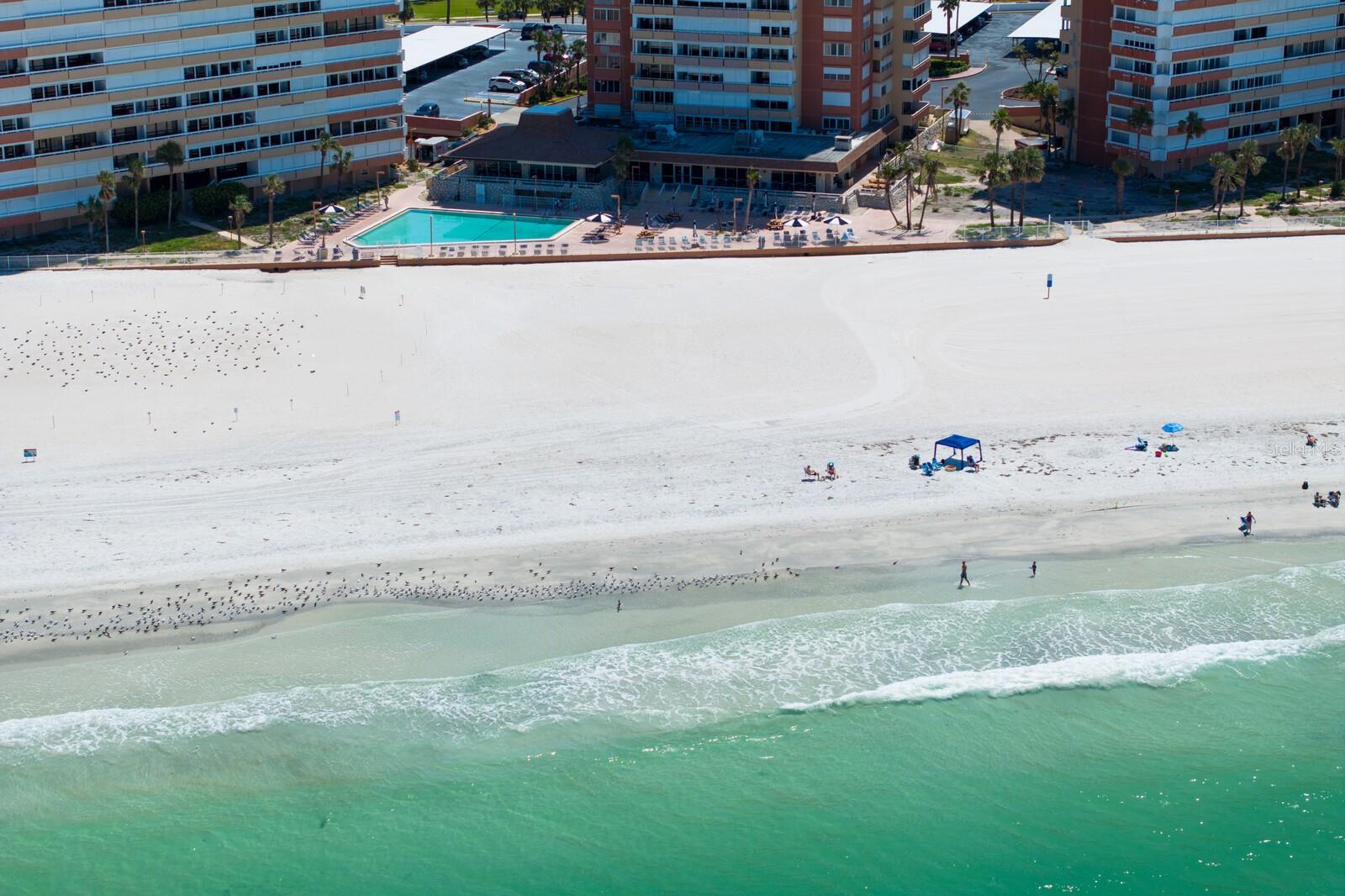 Image 92 of 100 For 17920 Gulf Boulevard 1806