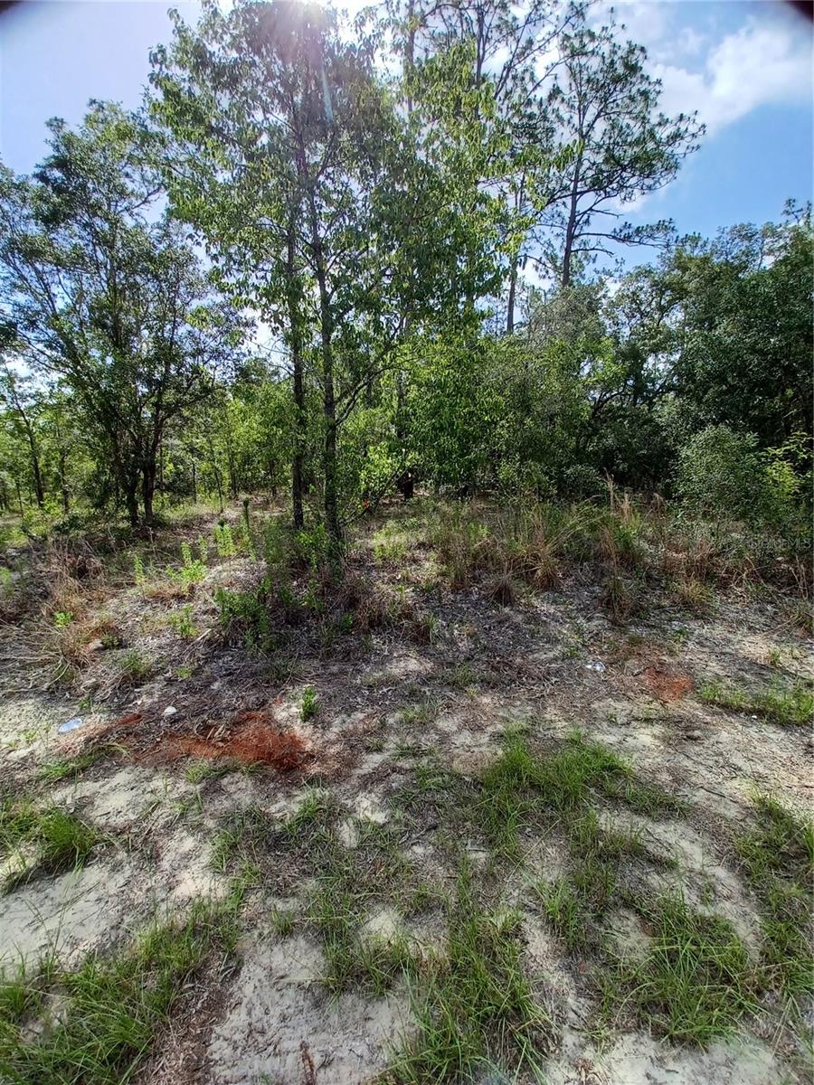 Details for Tamiami Place, DUNNELLON, FL 34431