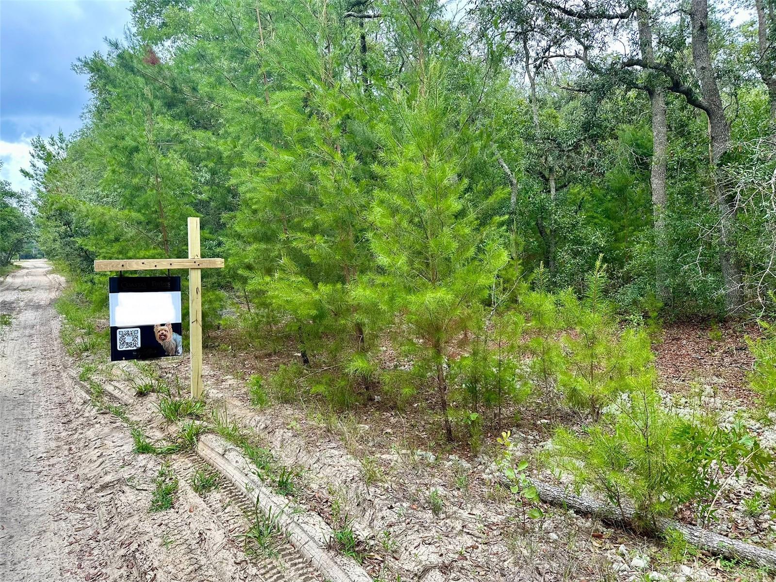 Image 2 of 13 For  Cedar Trail 