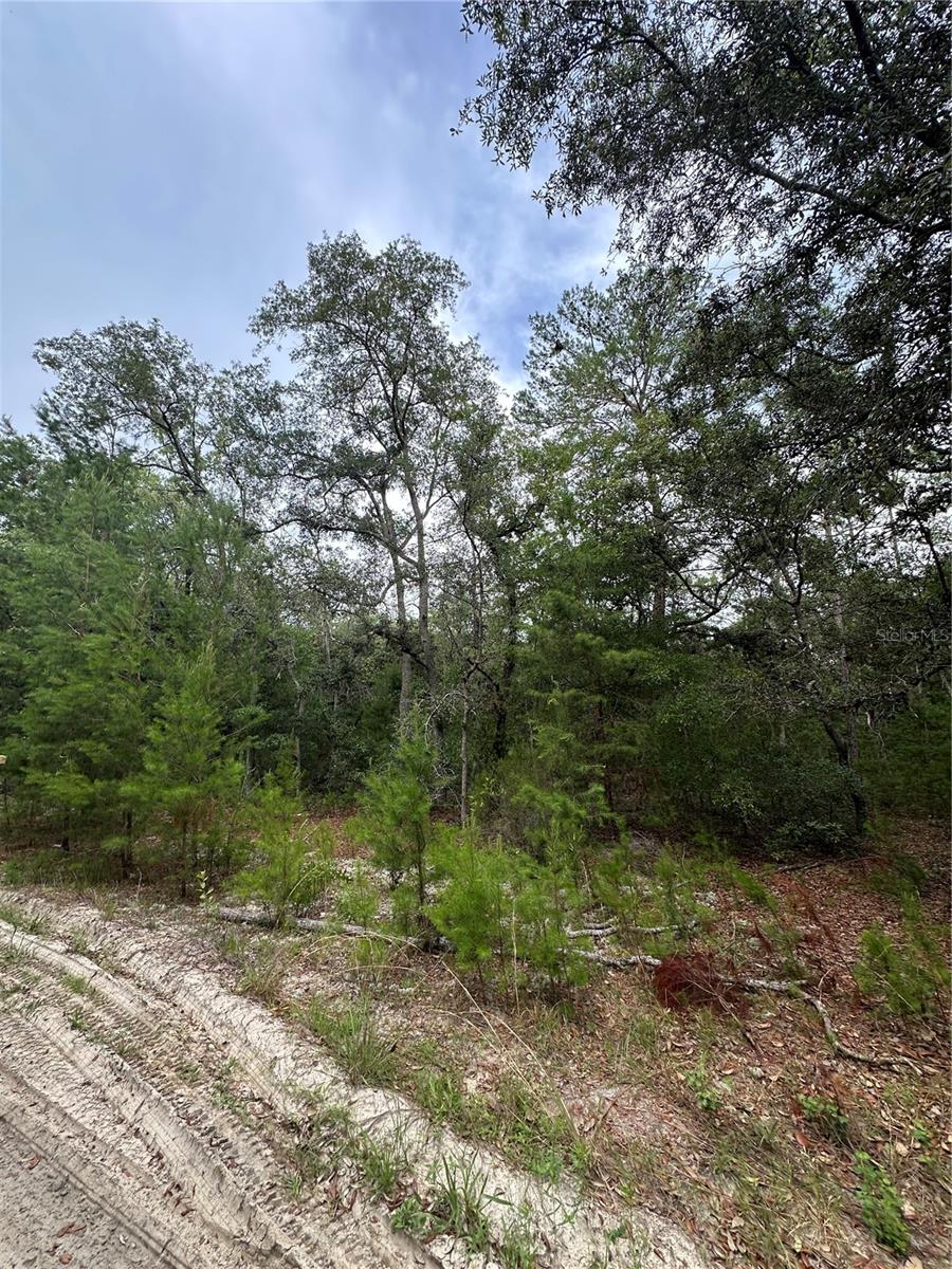 Image 6 of 13 For  Cedar Trail 