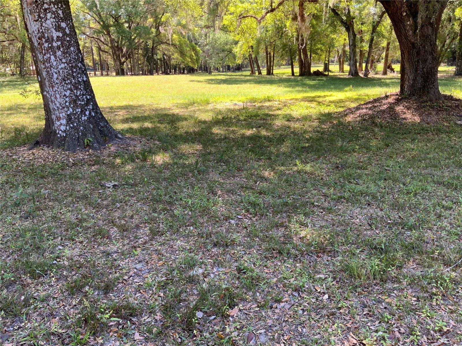 Image 7 of 11 For Burkitt Road Road