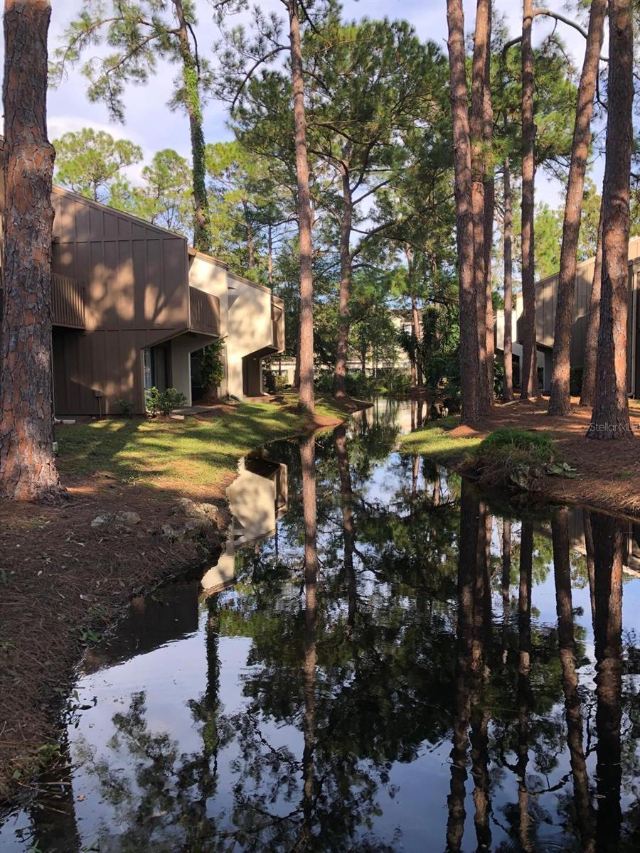 Image 19 of 20 For 5310 Pebble Beach Drive F