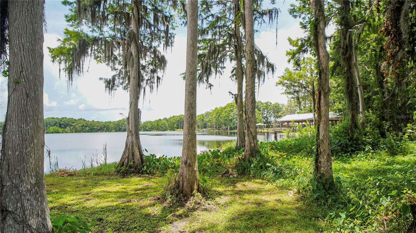 Image 22 of 39 For 10818 Land O Lakes Boulevard