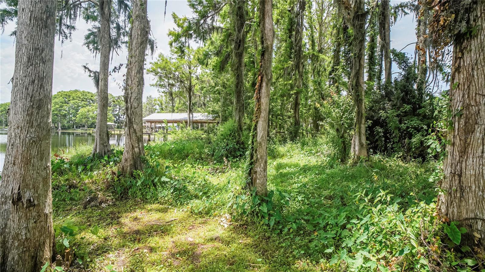 Image 30 of 39 For 10818 Land O Lakes Boulevard