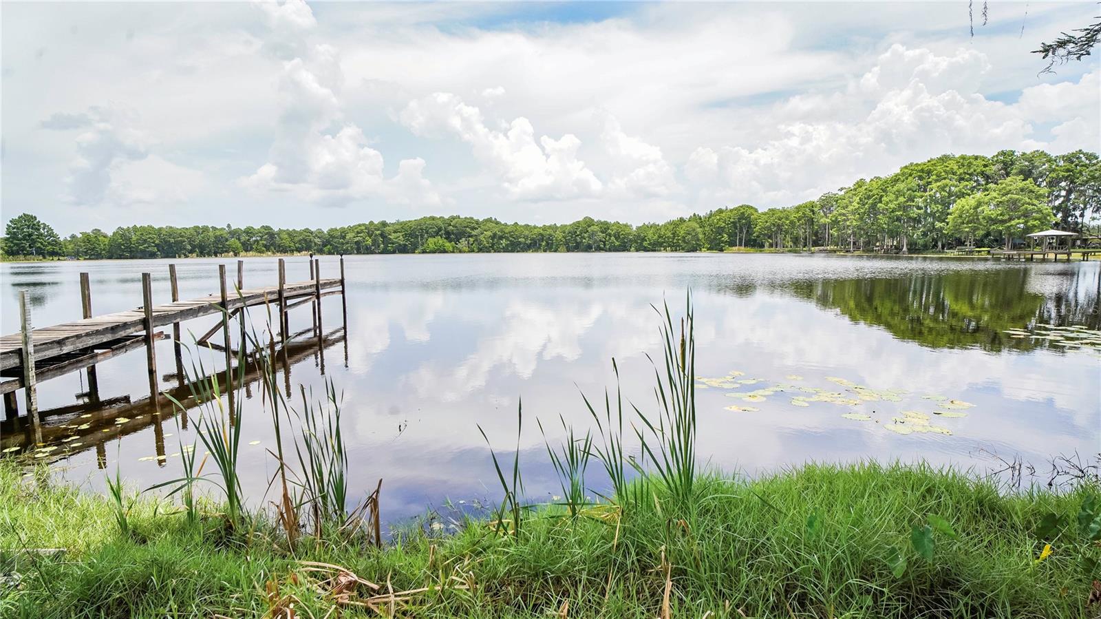 Image 31 of 39 For 10818 Land O Lakes Boulevard