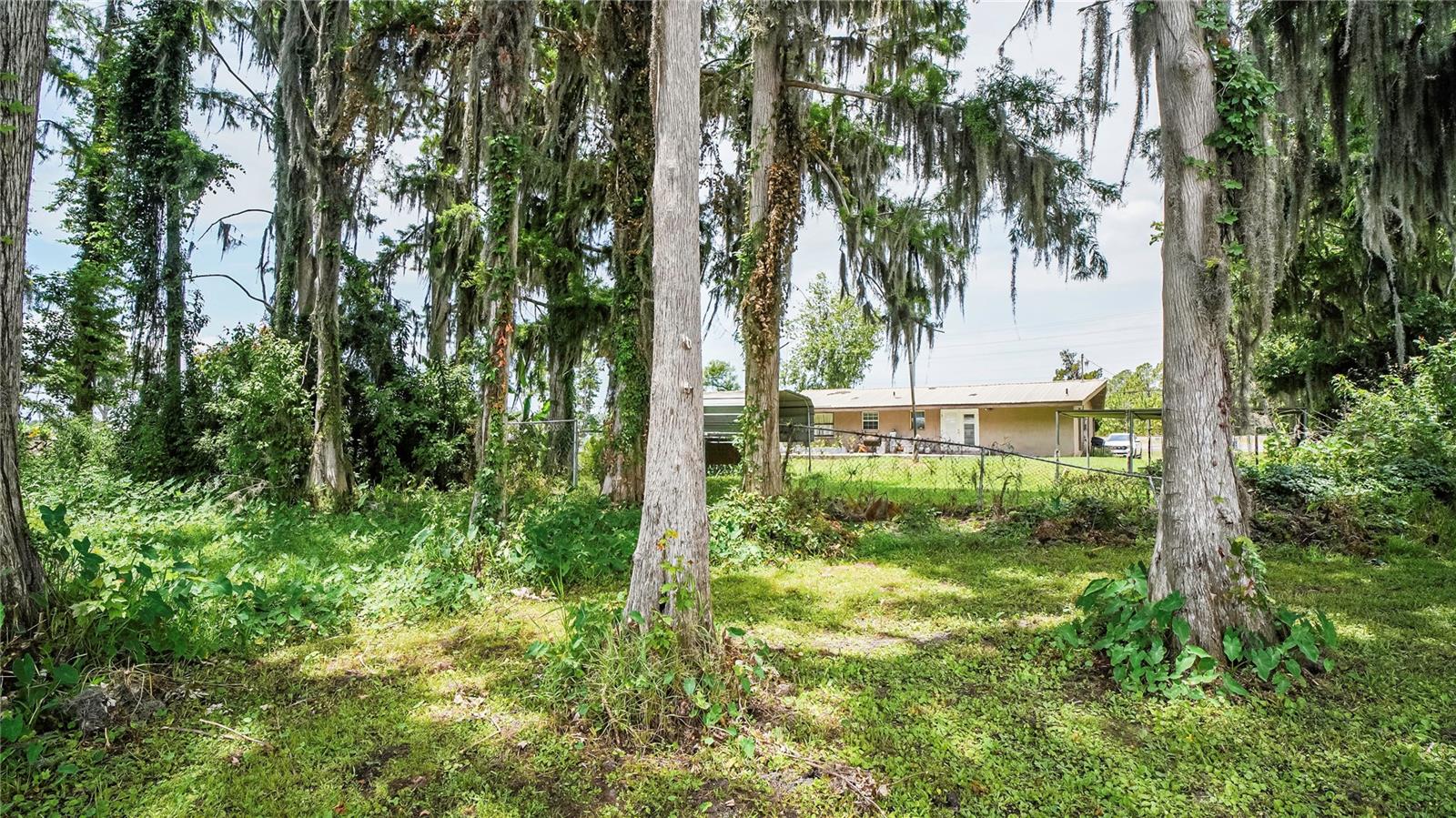 Image 32 of 39 For 10818 Land O Lakes Boulevard