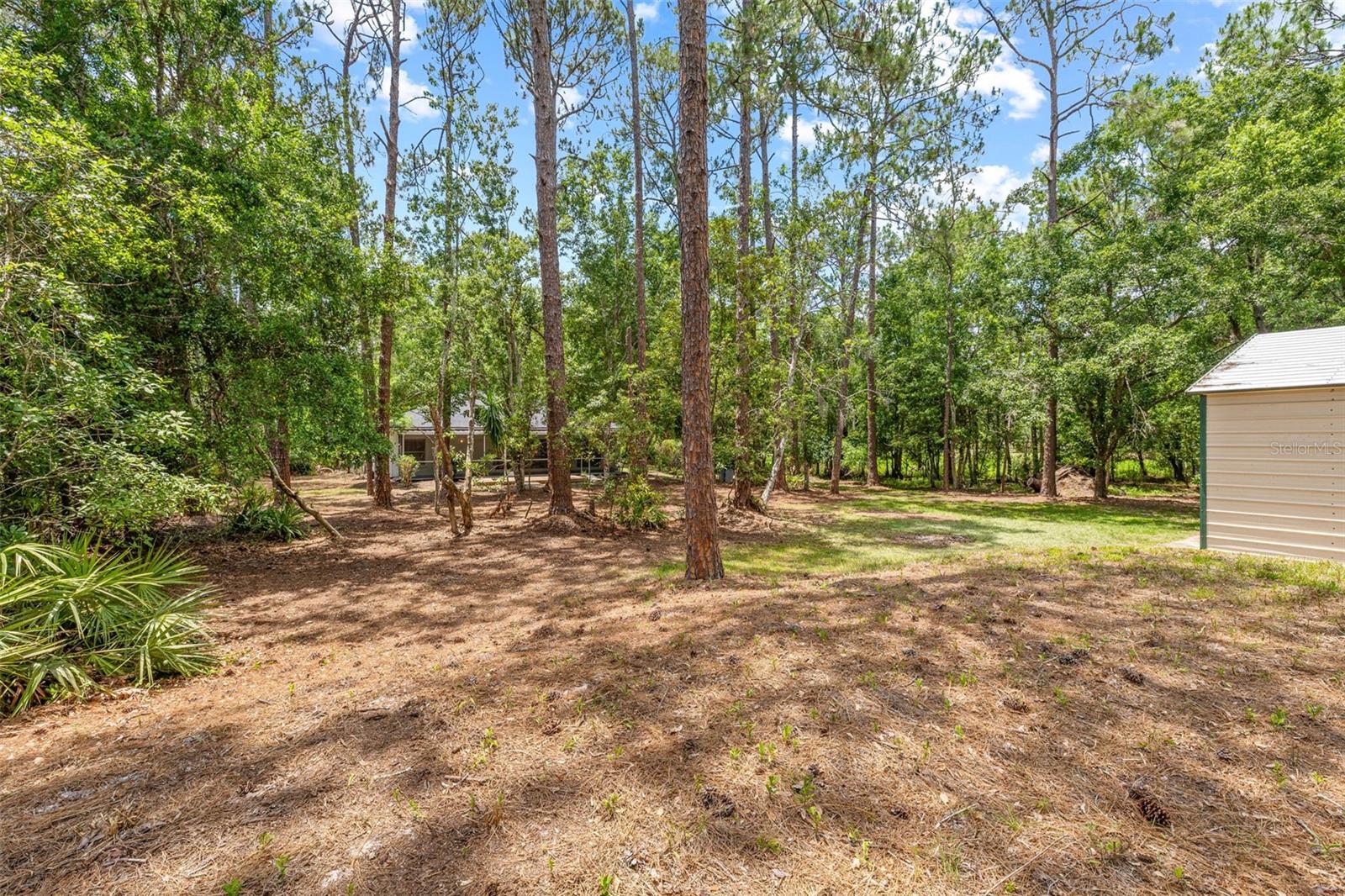 Image 41 of 46 For 7644 Conrad Street