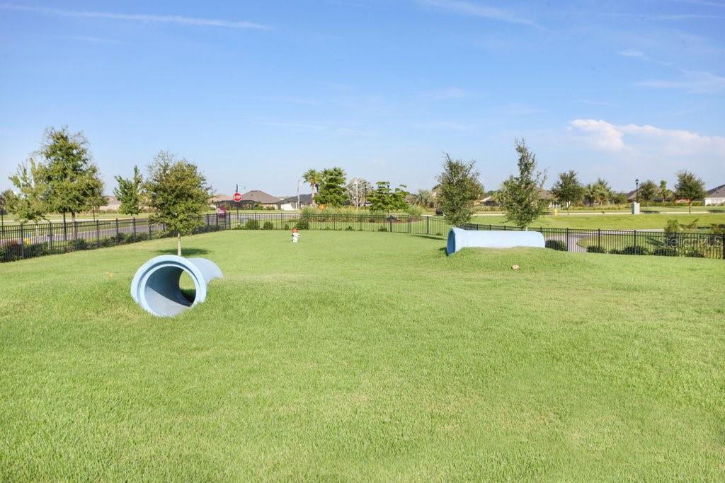 Image 47 of 63 For 6097 Golden Nettle Drive