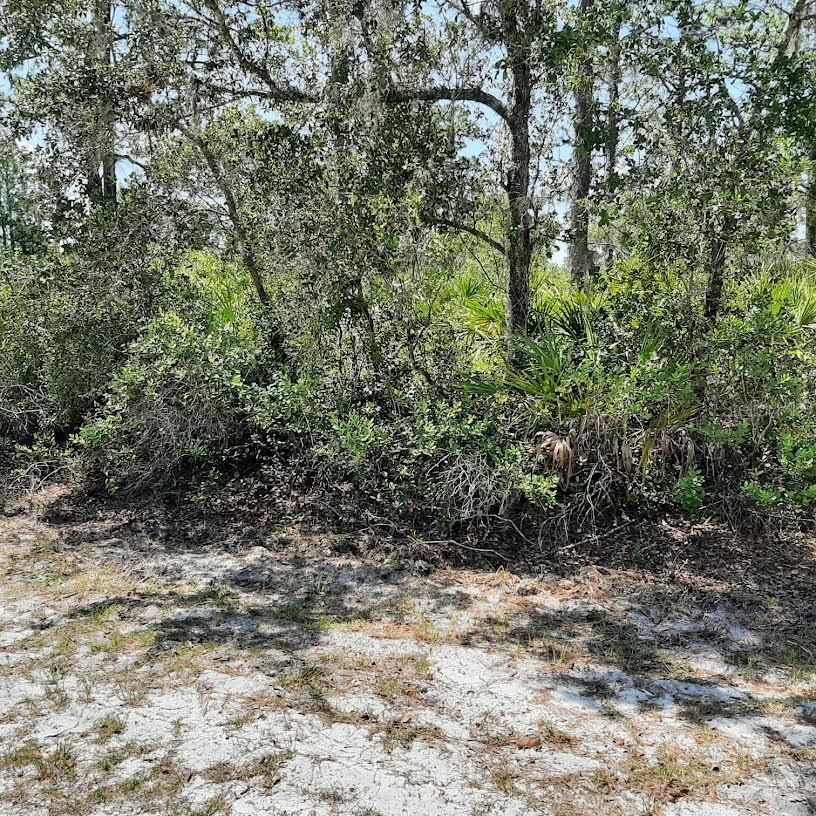 Image 2 of 33 For 714 Camellia Drive