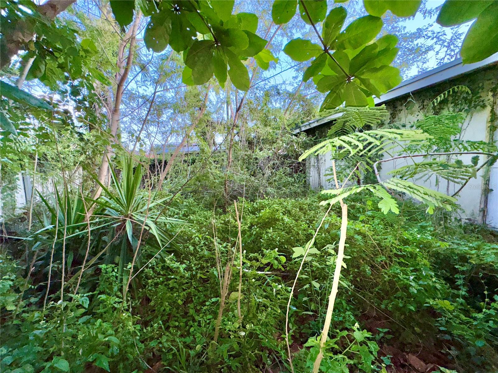 Image 23 of 31 For 17781 113th Avenue