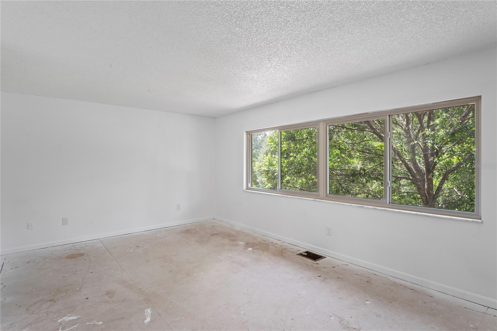 Image 10 of 19 For 63 Douglas Street 10