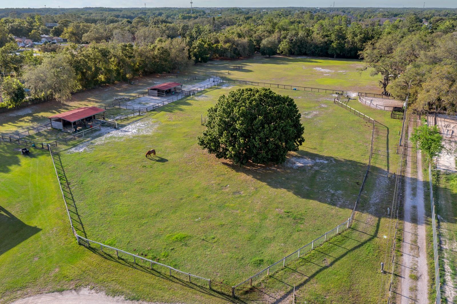 Image 36 of 51 For 7705 Gardner Road