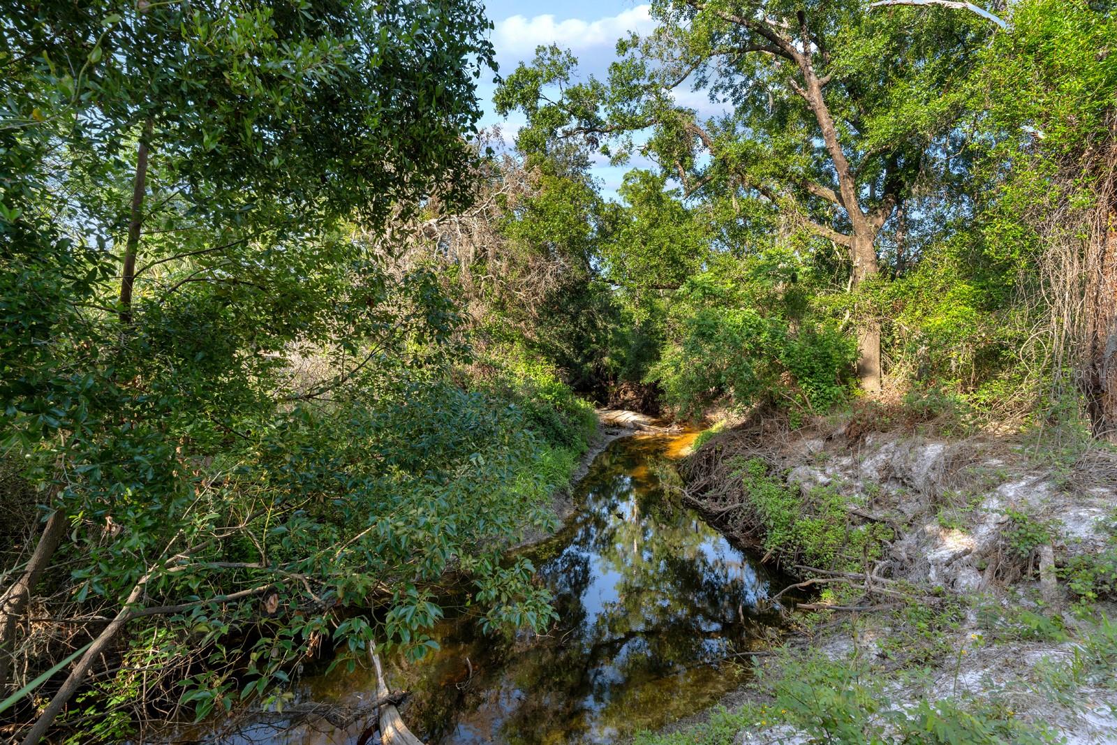 Image 42 of 51 For 7705 Gardner Road