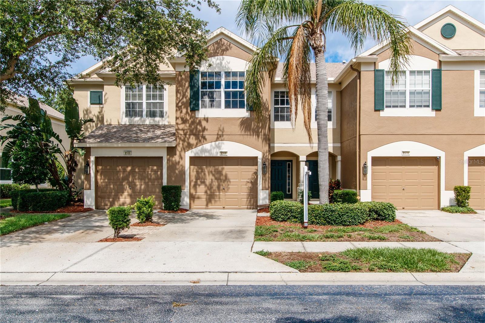 Details for 8568 Sandy Beach Street, TAMPA, FL 33634