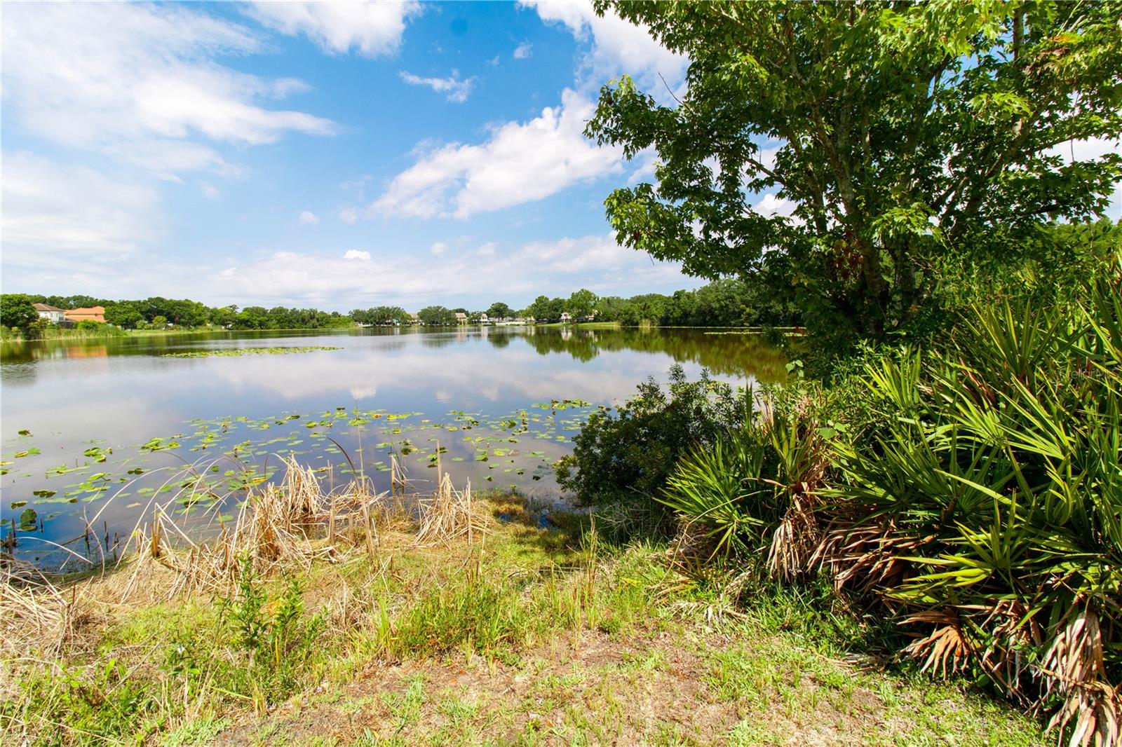 Listing photo id 2 for 8568 Sandy Beach Street