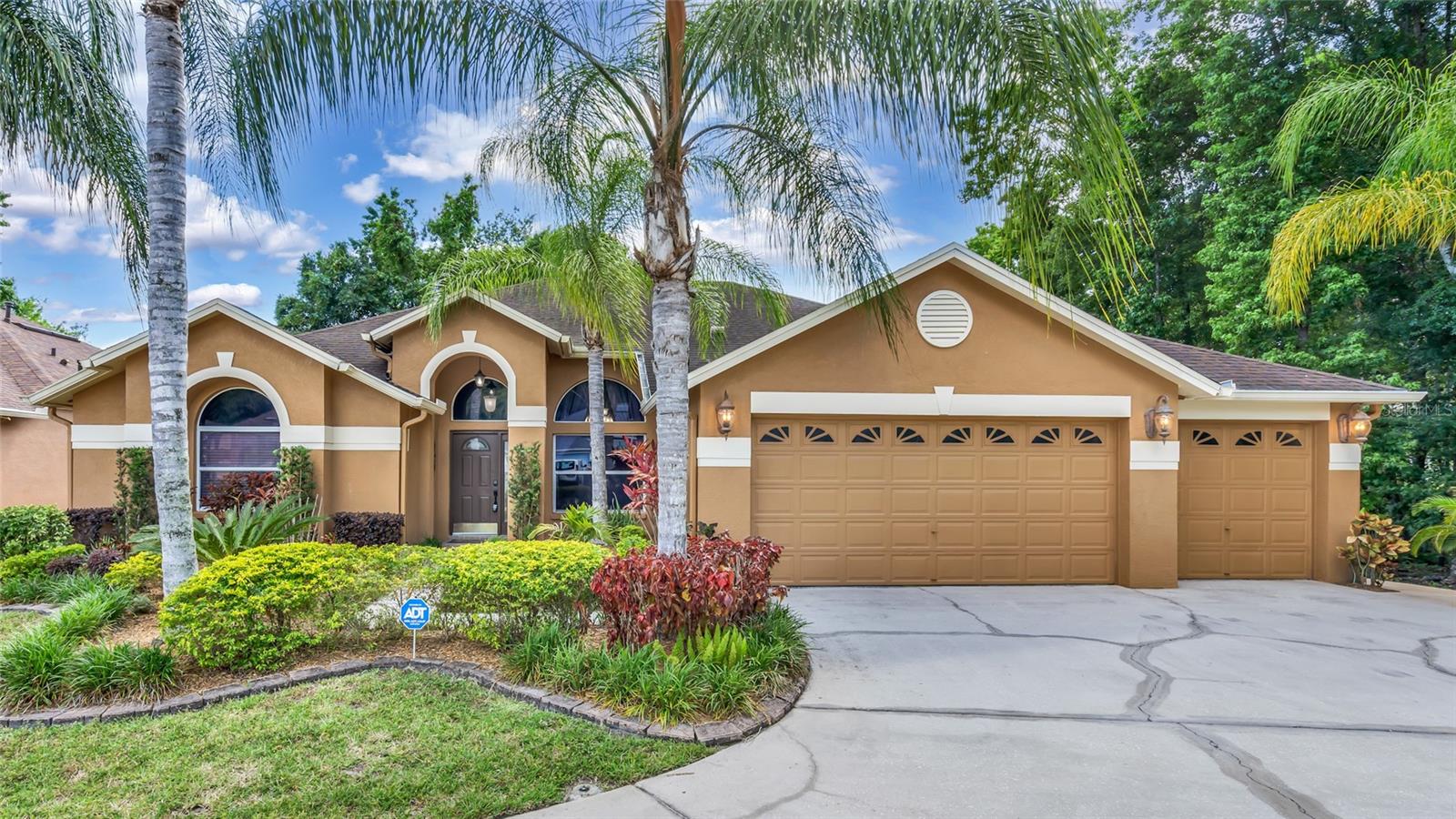 Details for 29135 Rivergate Run, WESLEY CHAPEL, FL 33543