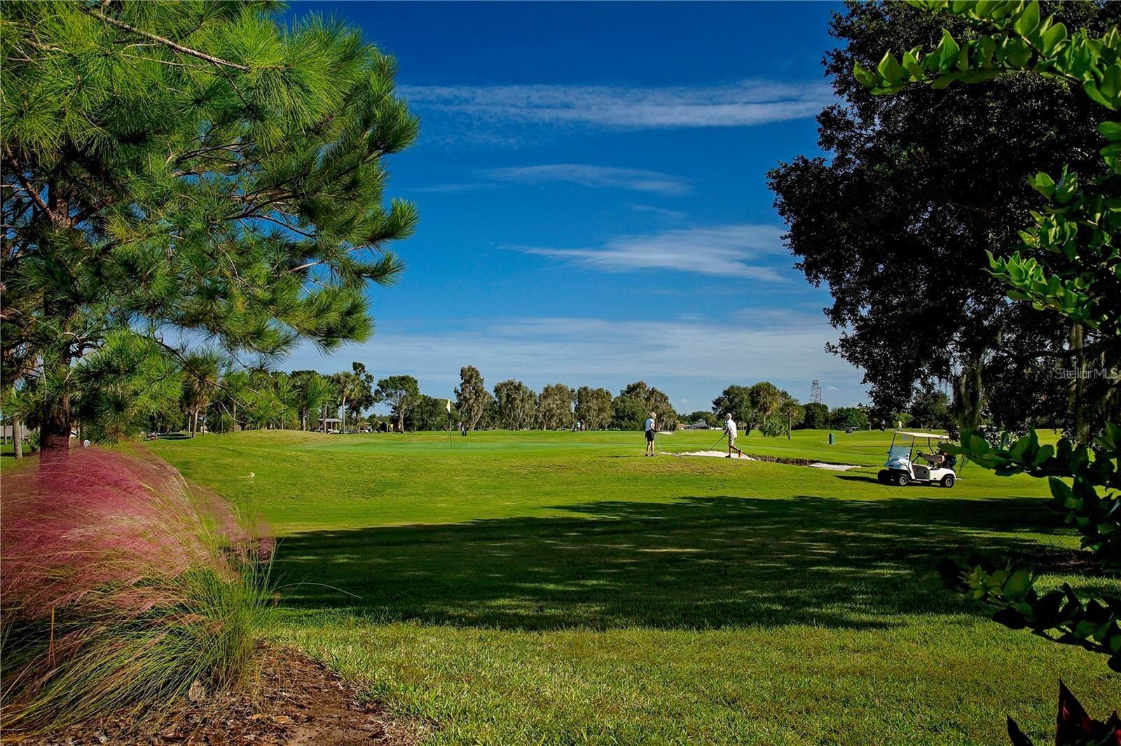 Image 44 of 47 For 2421 Del Webb Boulevard