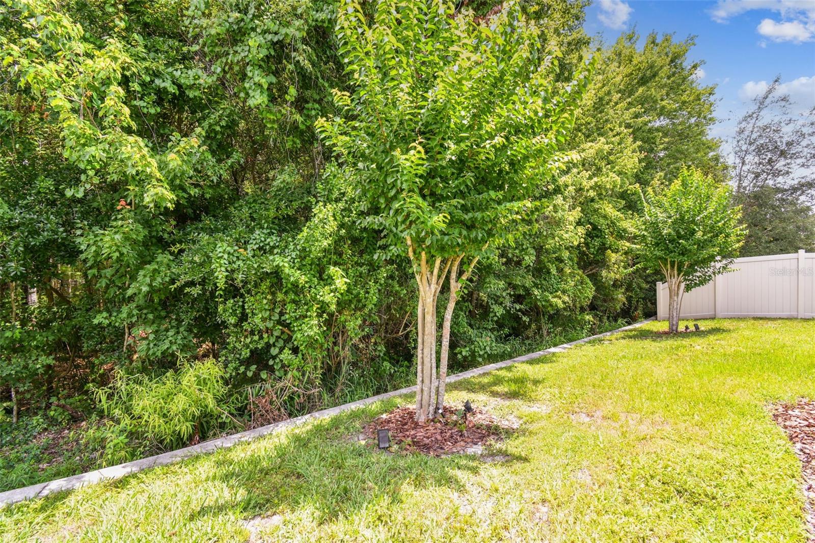 Image 43 of 57 For 32825 Sand Creek Drive