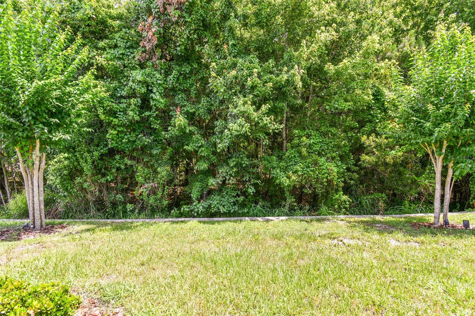 Image 44 of 57 For 32825 Sand Creek Drive