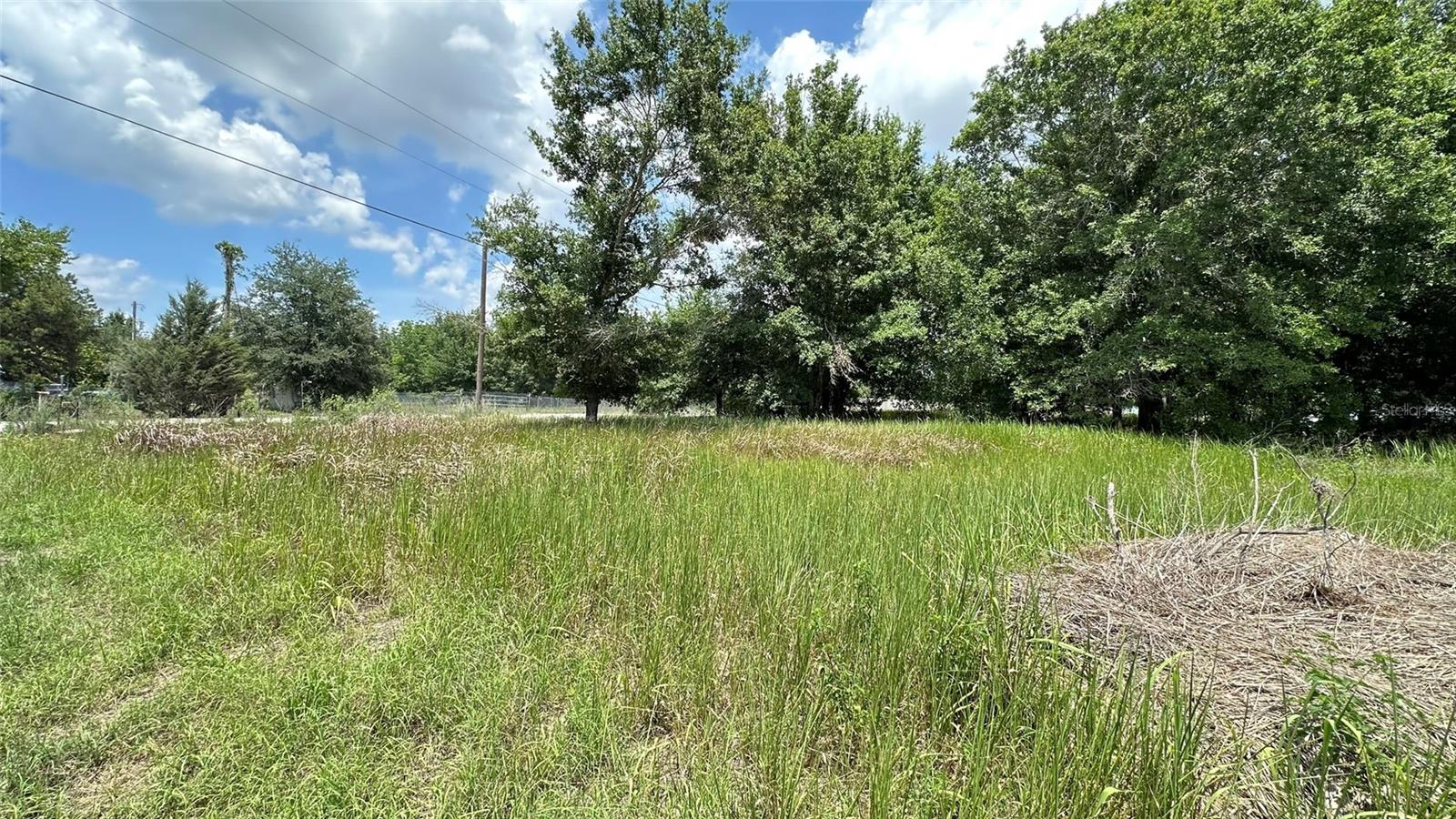 Image 6 of 8 For 31208 Tyndall Road