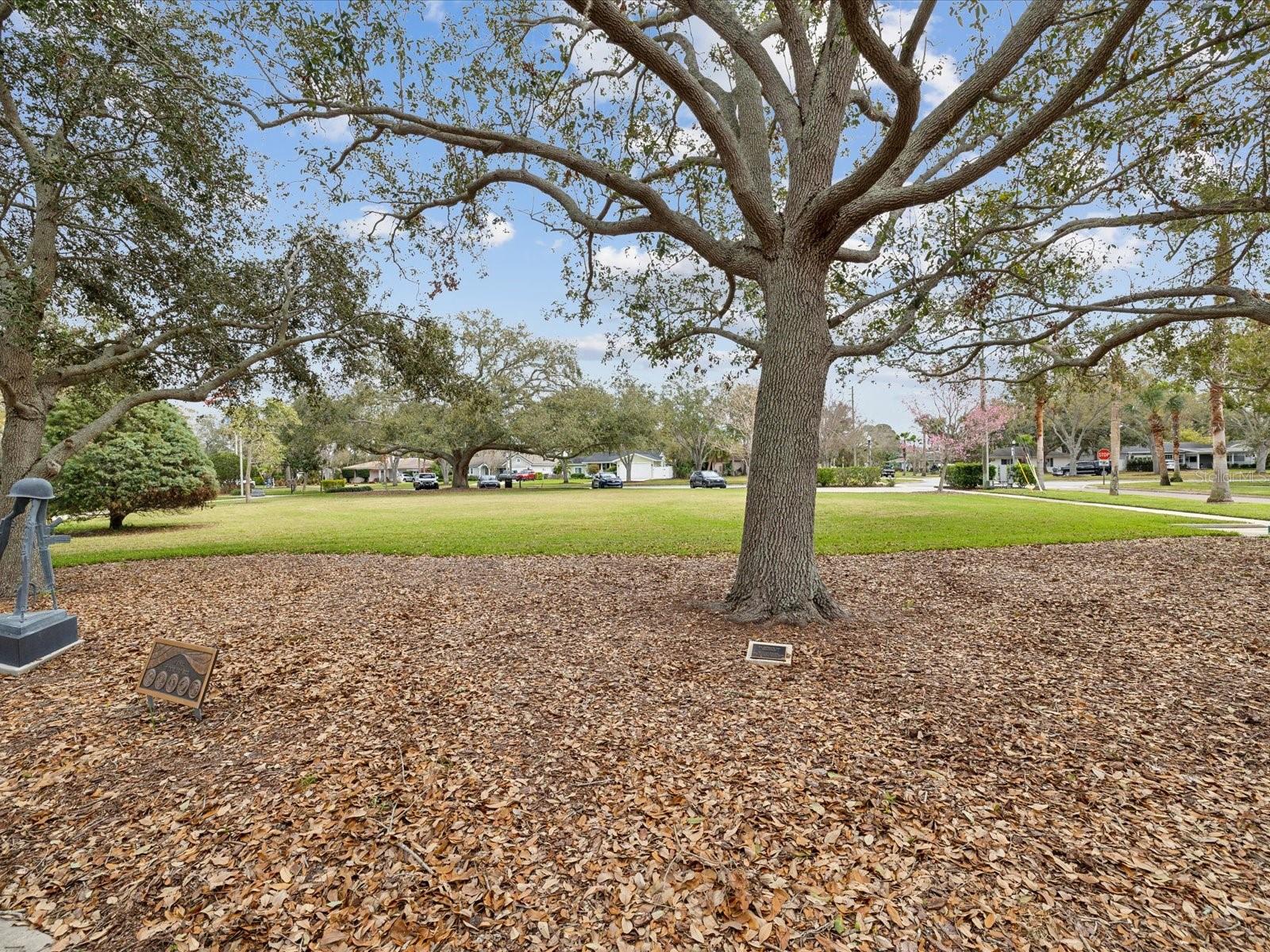 Image 55 of 67 For 605 Gardenia Street