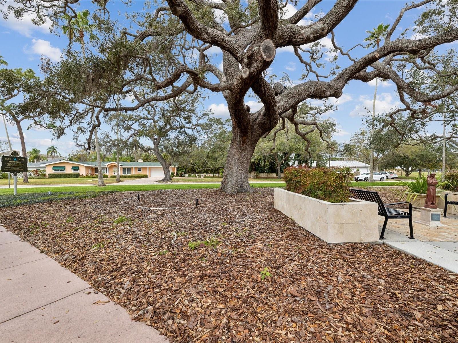 Image 56 of 67 For 605 Gardenia Street
