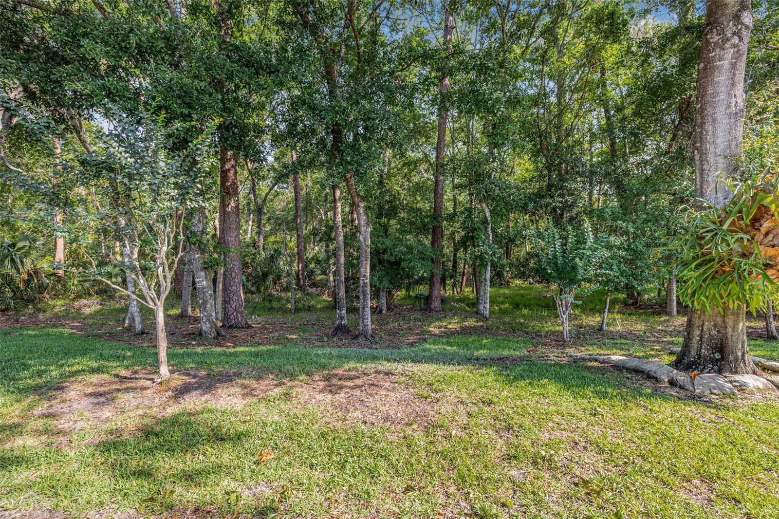 Image 35 of 40 For 3512 Tealwood Circle