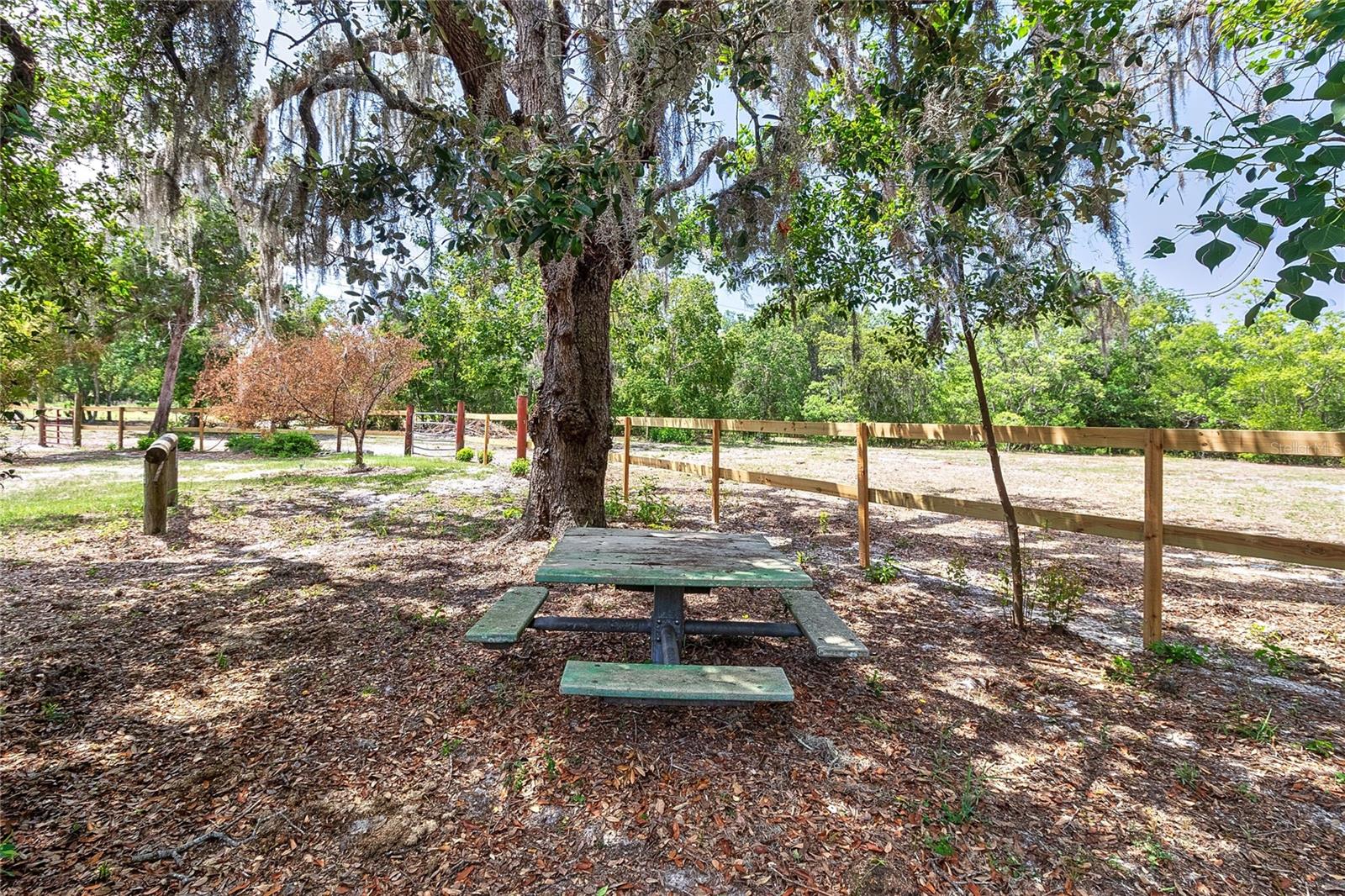 Image 60 of 71 For 15625 Olney Lane