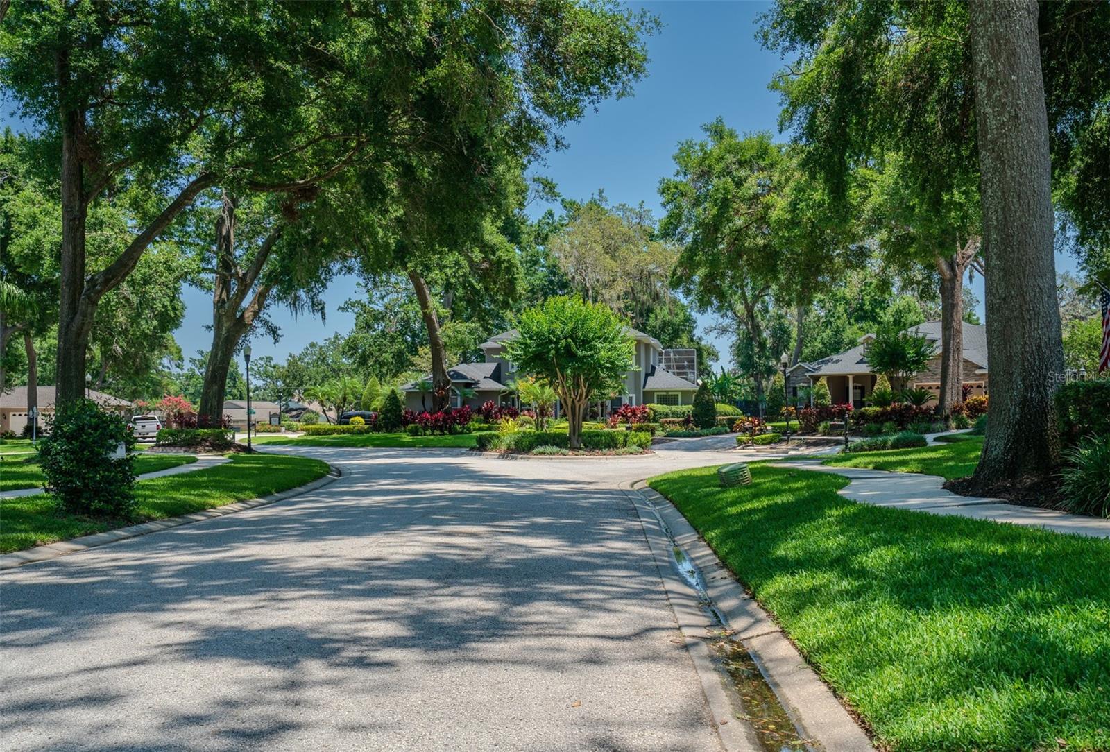 Image 29 of 29 For 2417 Valrico Forest Drive