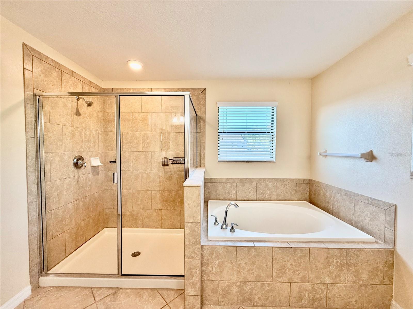 Image 31 of 51 For 13242 Wellington Hills Drive