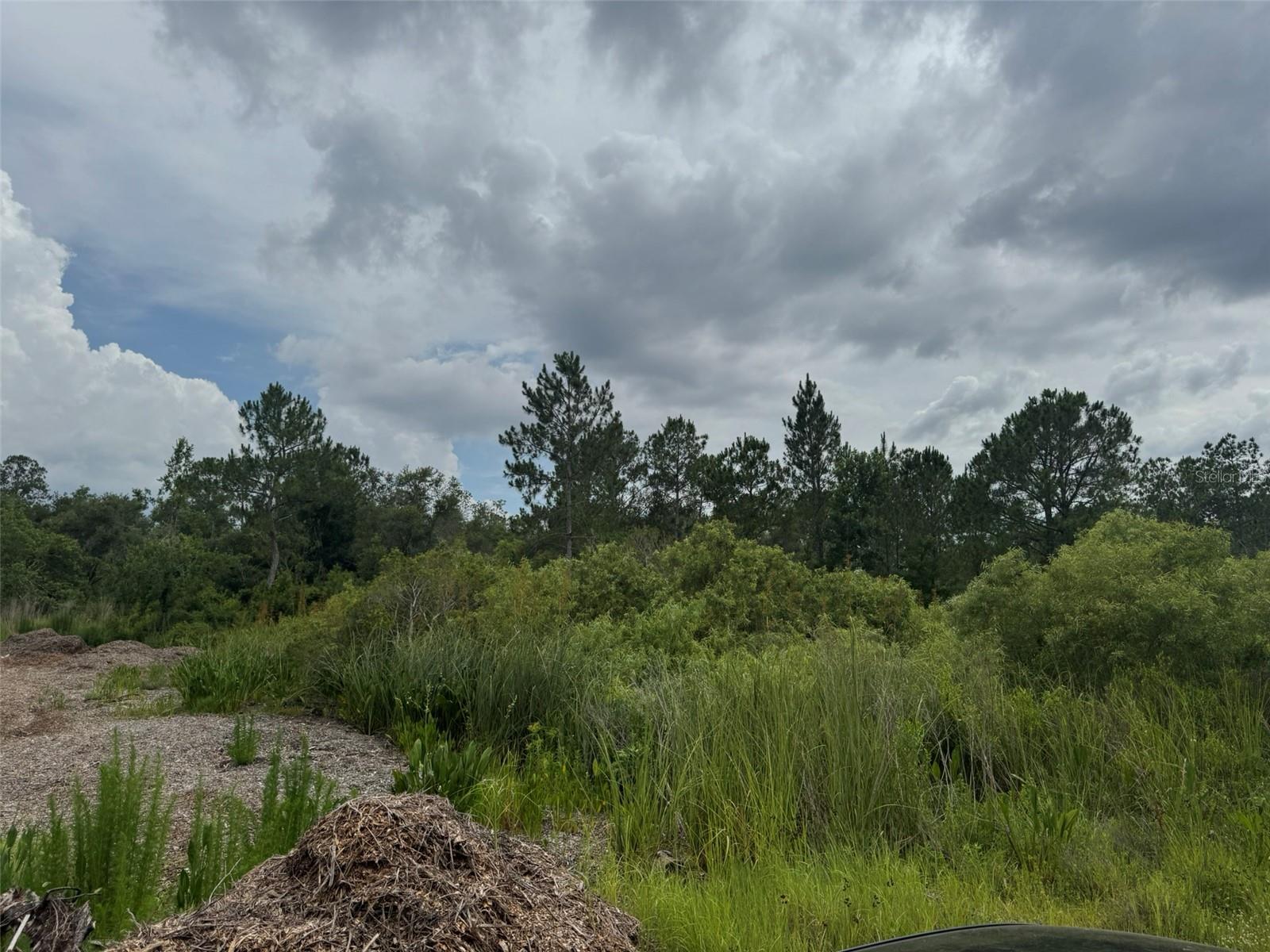 Image 2 of 10 For  Otter Drive 