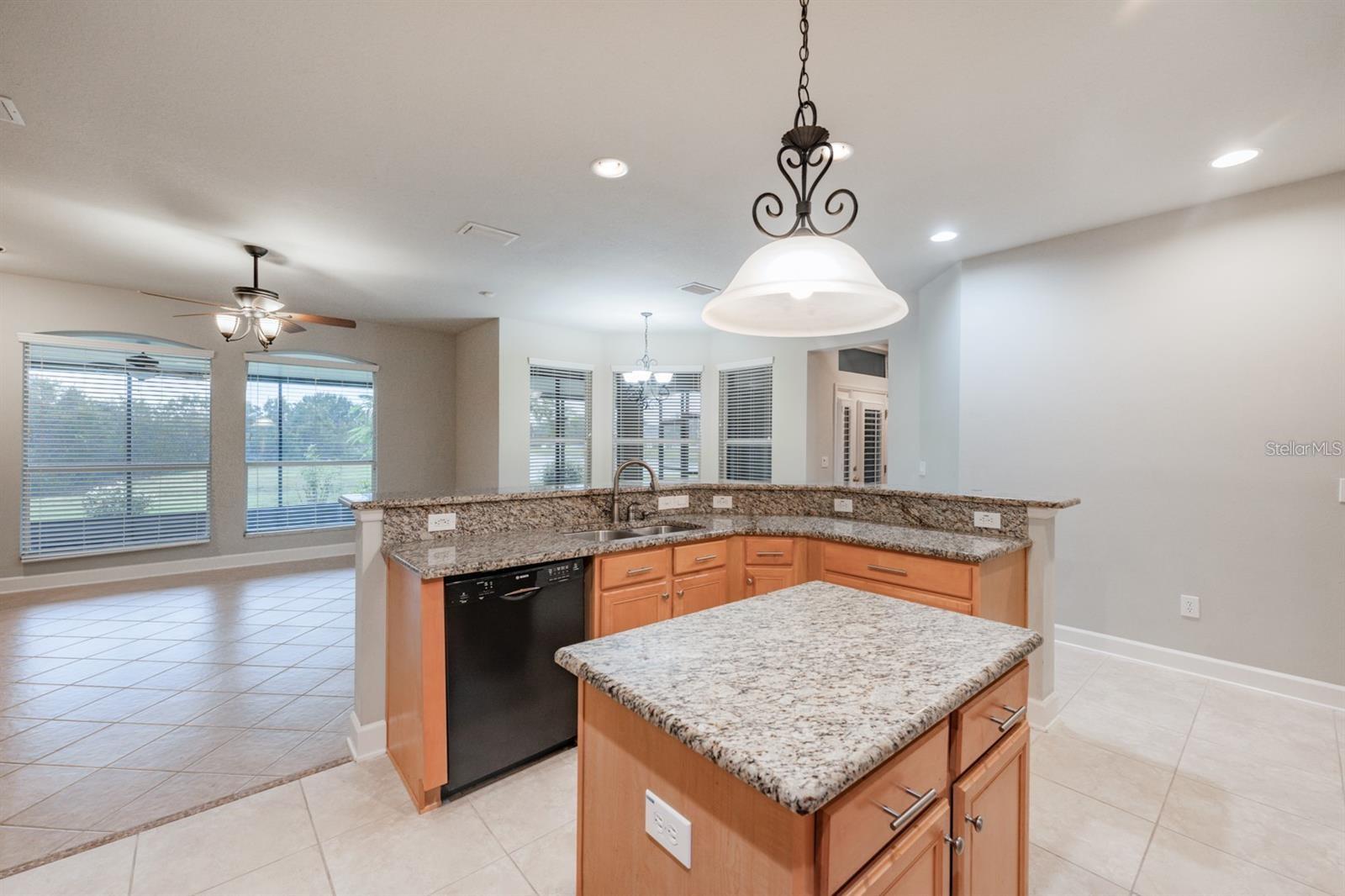 Image 10 of 22 For 12311 Silton Peace Drive